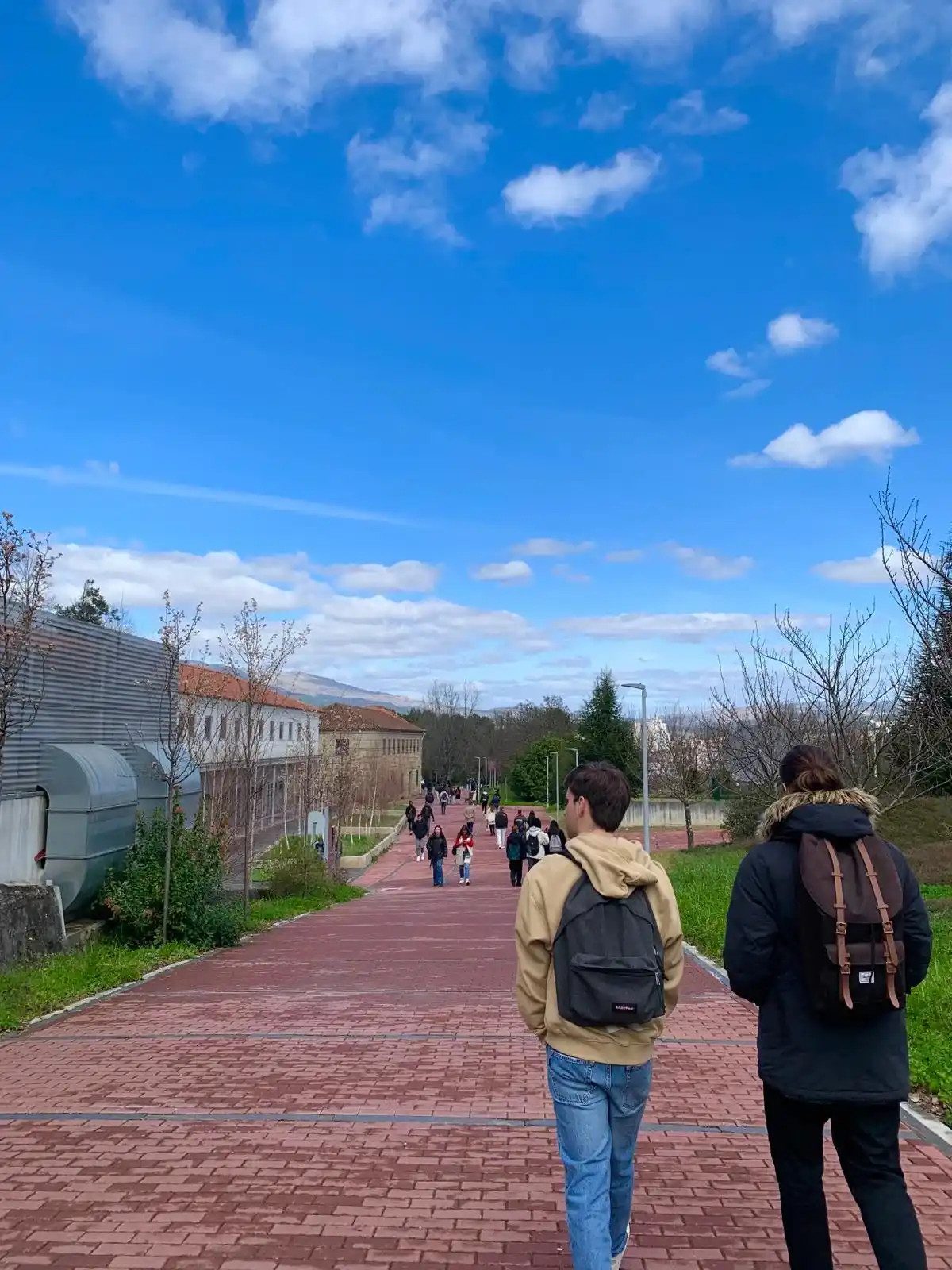 Imagem 3: Percurso pedonal Serviços Académicos, Vários jovens dirigem-se, para a cantina ou outros polos do Campus, representam a vivacidade da universidade./ Juliana Gomes/2024