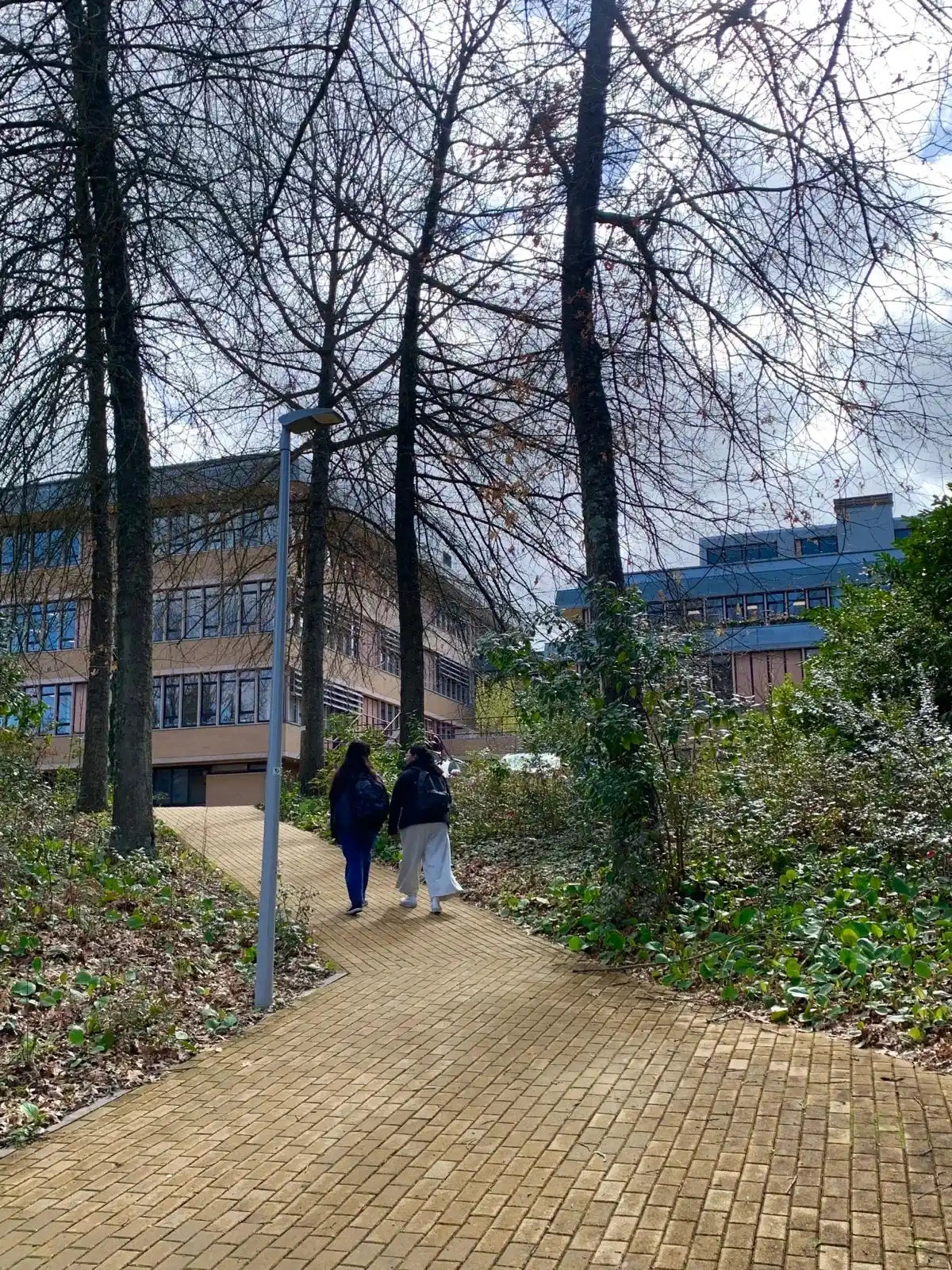 Imagem 2: Caminho pedonal da Escola de Ciências da Vida e do Ambiente , foto corresponde a um de muitos caminhos pedonais existentes no Eco Campus, que nas estações mais quentes se revestem de flores e de mantos verdes./ Juliana Gomes/2024